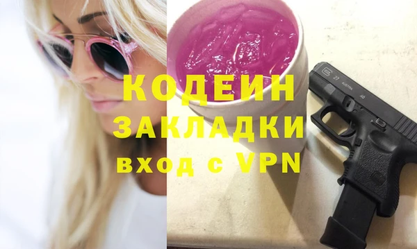 винт Няндома