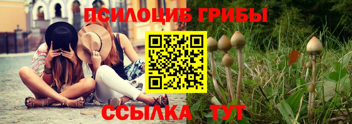 сколько стоит  Псилоцибиновые грибы Cubensis  Вход с VPN  Рославль 